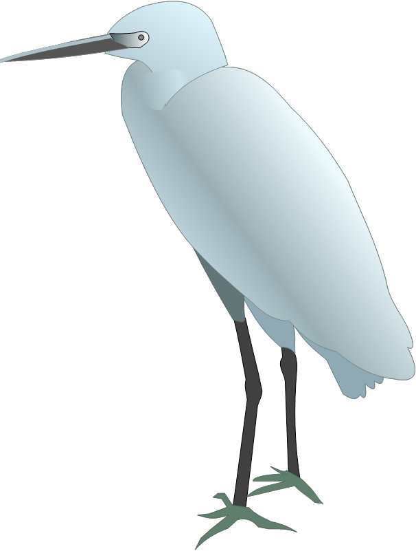 Draw an Egret